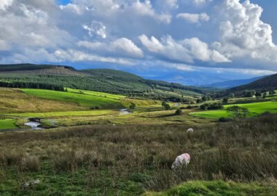 Rhiw Goch Caroline Mason Coaching Retreats - snowdonia